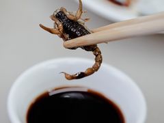 蝎子党参乌鸡汤-国英炖品店(甲子路店)