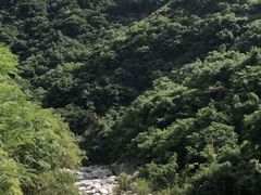 -秦岭风景区