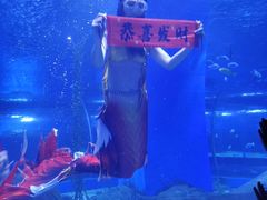 -顺德南宏海立方海洋公园