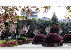 -成都中医药大学(温江校区)