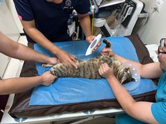 -美联众合动物医院·24h京西诊疗中心