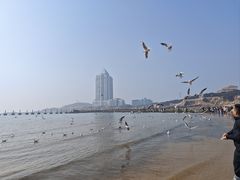 -青岛第二海水浴场