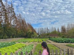 -前小桔亲子创意农场·草莓采摘·露营烧烤