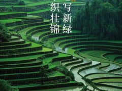 -桂林肥仔·中华餐饮名店(园湖店)