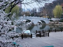 -大连植物园