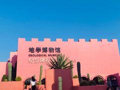 -漳州滨海火山岛自然生态风景区