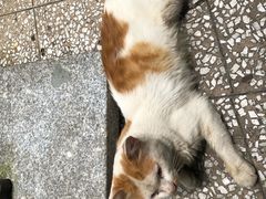 -乖乖佳花园山庄·私房菜(阿哈湖公园店)