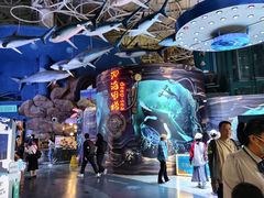 -烟台海昌鲸鲨海洋公园
