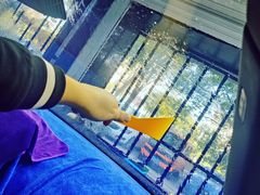 -天猫养车贴膜轻改·蓝电(优匹康桥东路店)