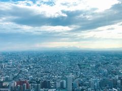 -东京都厅舍