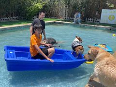 -汪说喵讲宠物乐园宠物酒店(红星美凯龙店)