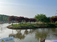 -佛手湖郊野公园