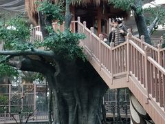 -南宫五洲植物乐园