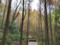 -凤栖山