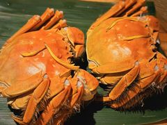 -成隆行·蟹王府(淮海店)