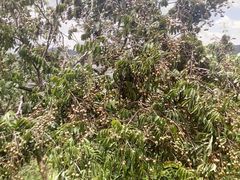 android_upload_pic-肯德基(坑梓店)