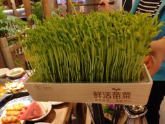 -蜀大侠火锅(四川北路店)