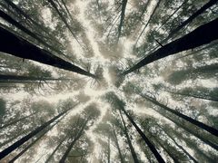 -山王坪喀斯特国家生态公园