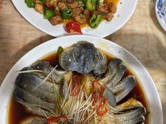 -煲来饱去冷水鱼