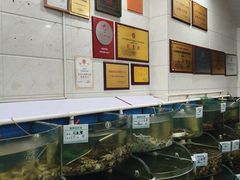 -叶存利海鲜大馅饺子(海宁路总店)