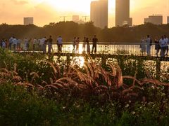 -海珠湖公园