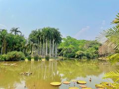-中国科学院西双版纳热带植物园