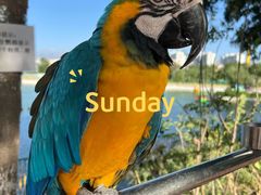 -水上乐园·欢乐世界