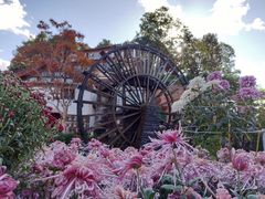 -象山村腊排骨(丽江总店)