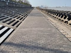-上海滨江森林公园