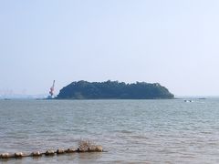 -大湾区中央湿地公园