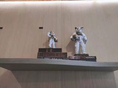 -飞行喵MR PILOT|猫舍·猫咖(静安大融城店)