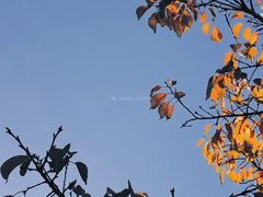 -河南省黄河迎宾馆