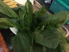 -新招鲜(桃浦路店)