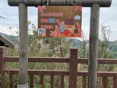 -军营村