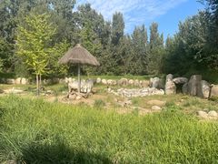 -北京野生动物园