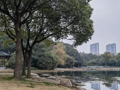 -蠡湖大桥公园