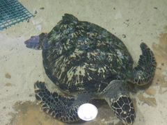 -苏州海洋馆