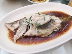 -双子楼大酒店(城开国际写字楼店)