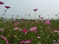 -北京亦庄保税物流中心