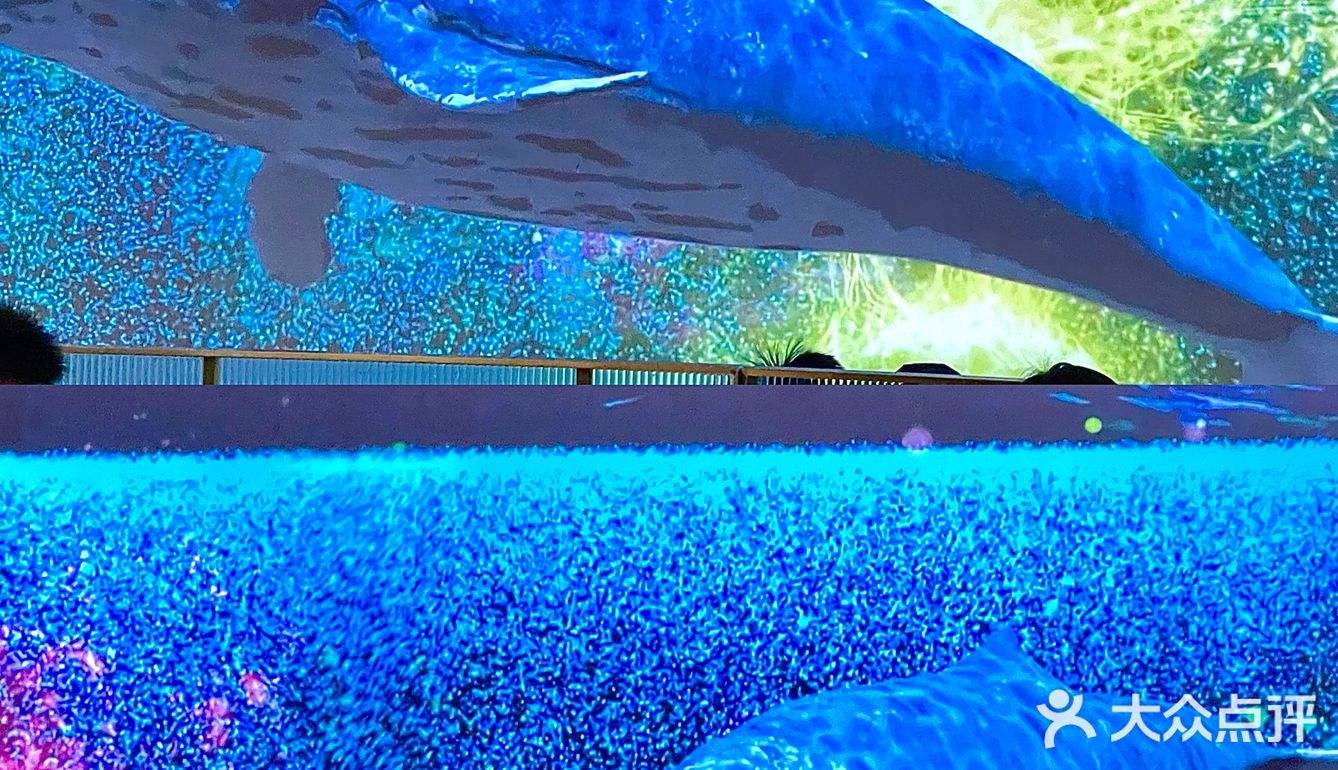 青岛新晋|超洋气的小烤肉小酒馆🍶