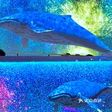 青岛新晋|超洋气的小烤肉小酒馆🍶