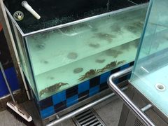 -人人乐购物广场(开发区店)