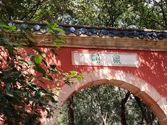 -灵谷景区