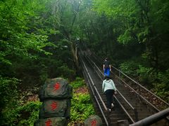 -茅兰沟国家森林公园