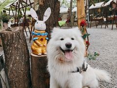 -熙古里艺术村