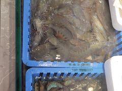 -倍儿美海鲜大排挡·非遗海鲜蒸饺(洋货店)