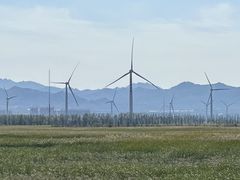 -野鸭湖国家湿地公园