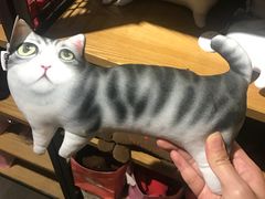 -猫咪博物馆(顶澳仔猫街店)