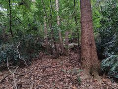 -敬亭山风景名胜区