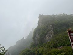 -王莽岭风景区